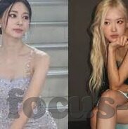 大象儿童视频0-3岁-探索大象儿童视频，0-3岁幼儿成长的趣味伙伴