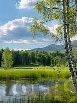 国产av麻豆久久久久-国产AV界的新篇章，探索麻豆久久的持续影响